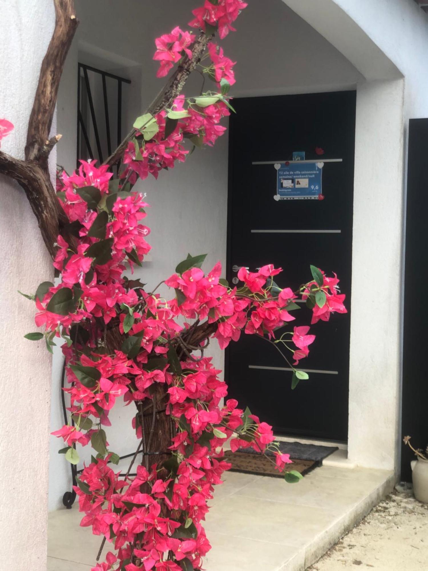 T2 Aile De Villa Et Spa-Jacuzzi Prive Et Illimite Et Plateau D'Acceuil Offert! Camps-la-Source Εξωτερικό φωτογραφία